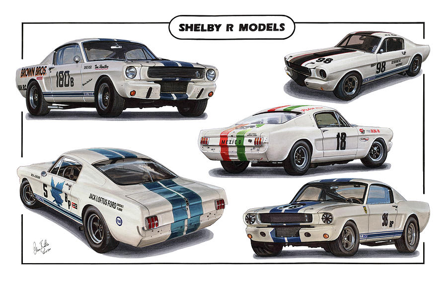 1965 Shelby Mustang GT350 R models Drawing by The Cartist - Clive Botha