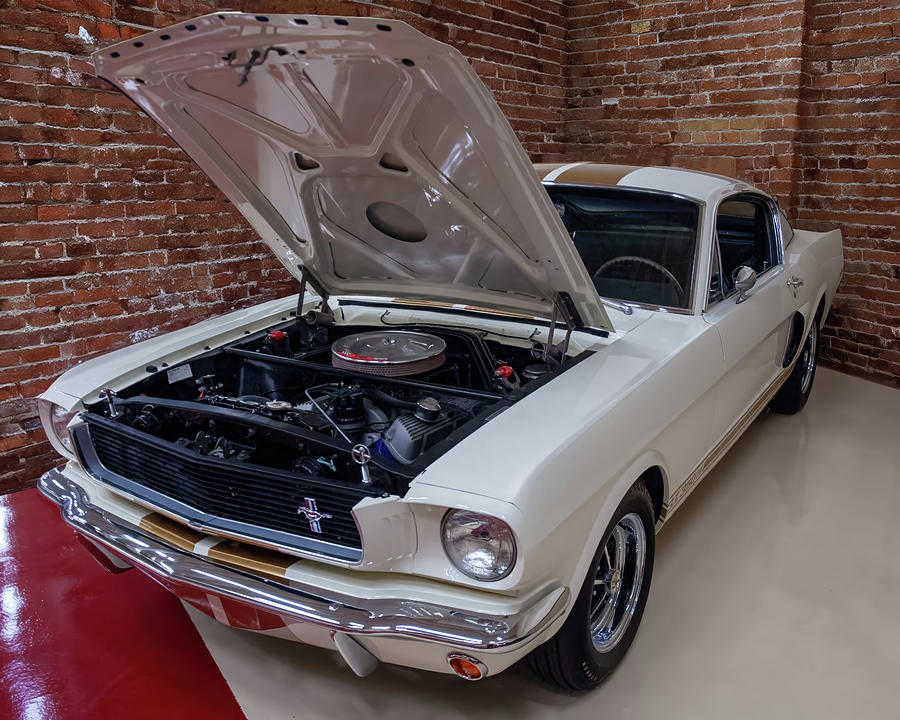 1966 ford mustang GT350 H -02 Photograph by Flees Photos