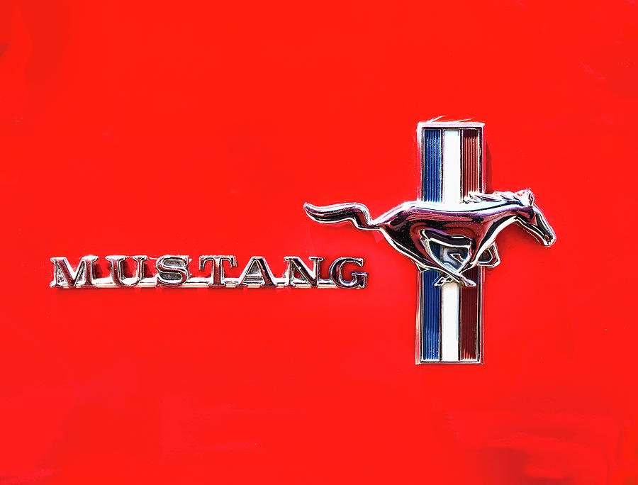 1966 Ford Mustang Insignia Photograph by Allen Beatty