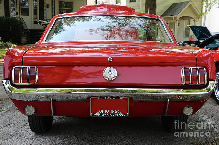 1966 Ford Mustang Rear View 8006 Photograph by Jack Schultz - Pixels