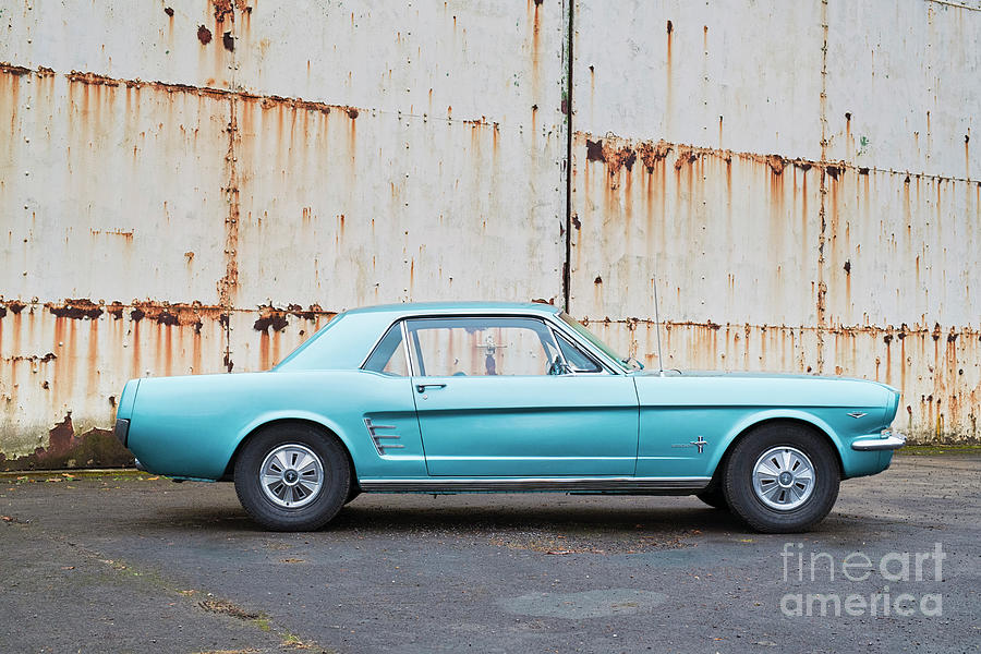 1966 Ford Mustang Photograph by Tim Gainey