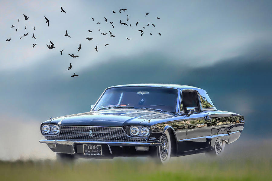 Transportation Photograph - 1966 Ford Thunderbird by Donna Kennedy