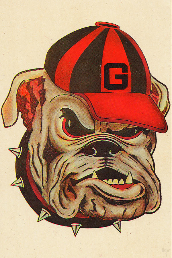 1966 Georgia Bulldog Art Mixed Media by Row One Brand