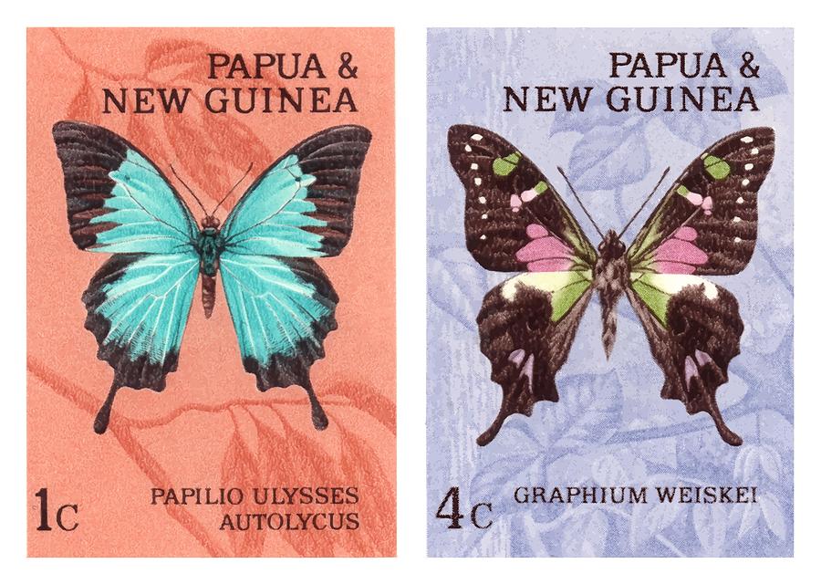 1966 Papua and New Guinea Butterfly Postage Stamps by Retro Graphics