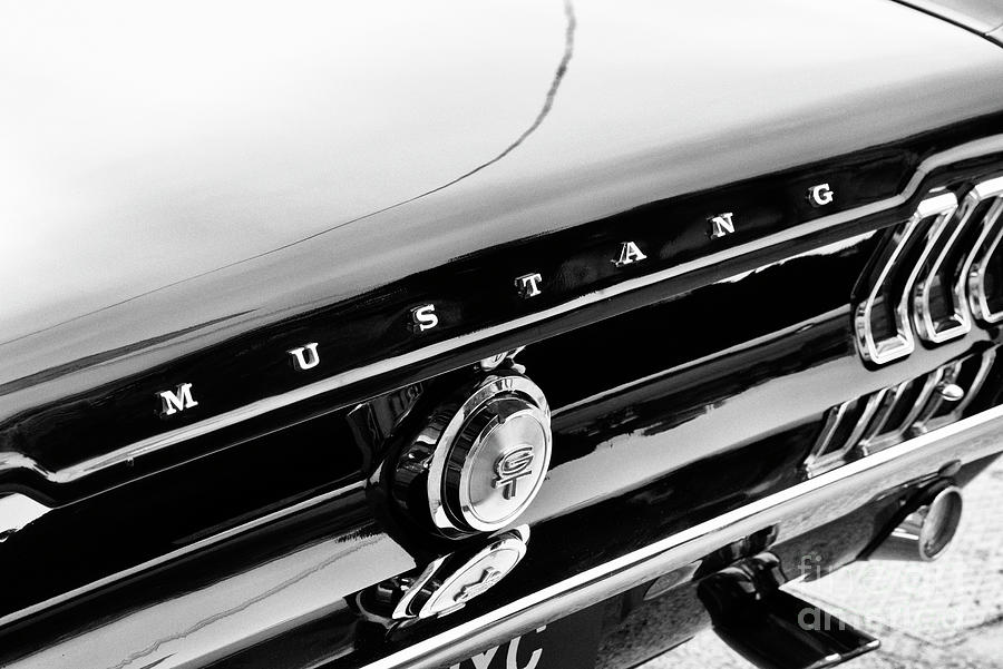 1967 Ford Mustang GT Rear Monochrome Photograph by Tim Gainey