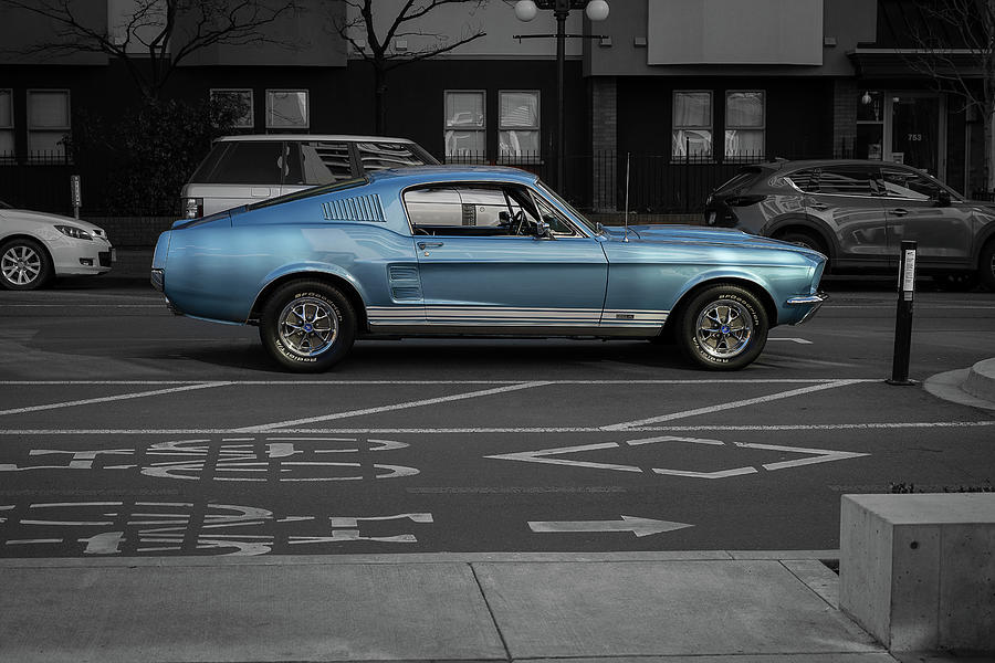 1968 Mustang GT Photograph by Bill Cubitt