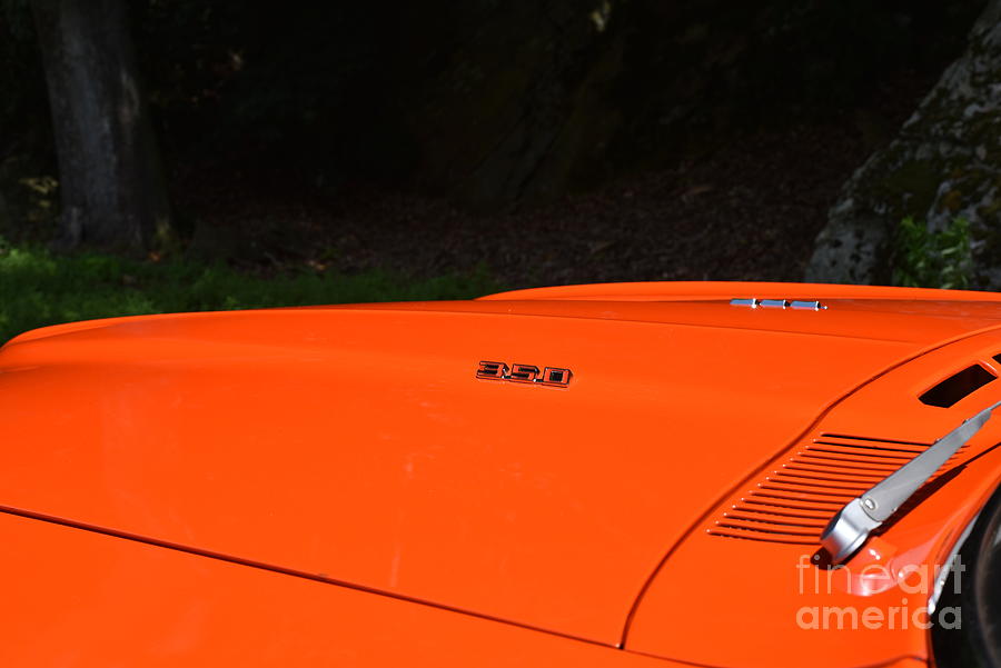 1969 Firebird 350 Hood Photograph by Jann Denlinger - Pixels