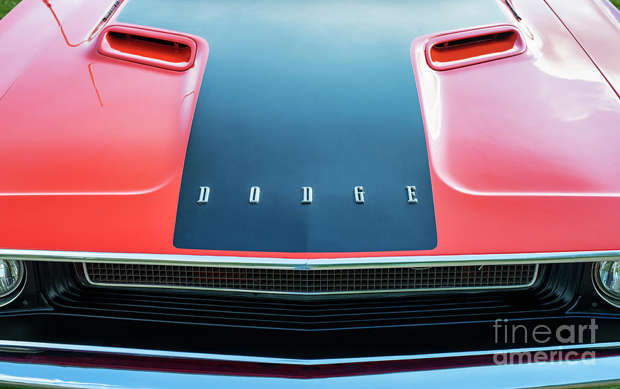 1970 Dodge Challenger Hood Photograph by Tim Gainey