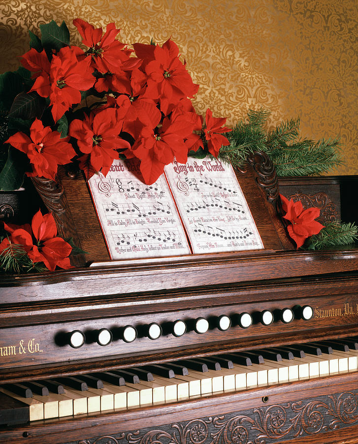 1970s PIANO CAROLS FLOWERS POINSETTIA Photograph by Panoramic Images ...