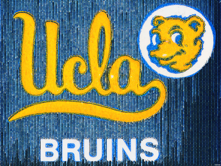 1970s UCLA Mixed Media by Row One Brand