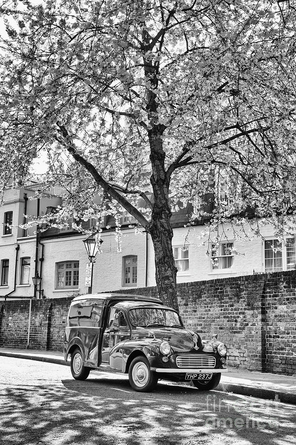 1971 Morris Van Under Cherry Tree Blossom London Photograph by Tim Gainey