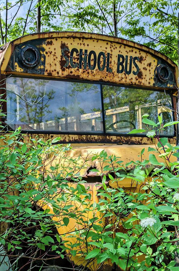 1972 School Bus Photograph by Chuck Burdick