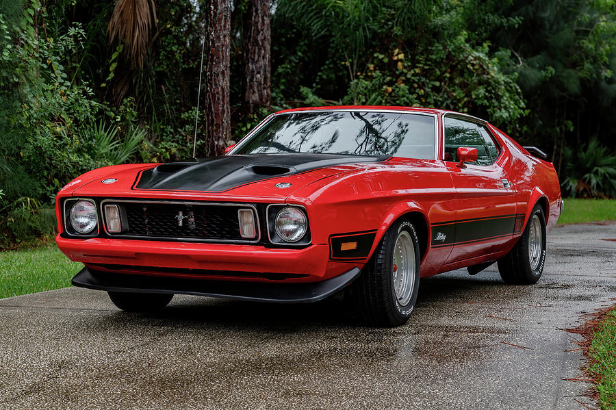 1973 Ford Mustang Mach 1 Photograph by Bradford Martin