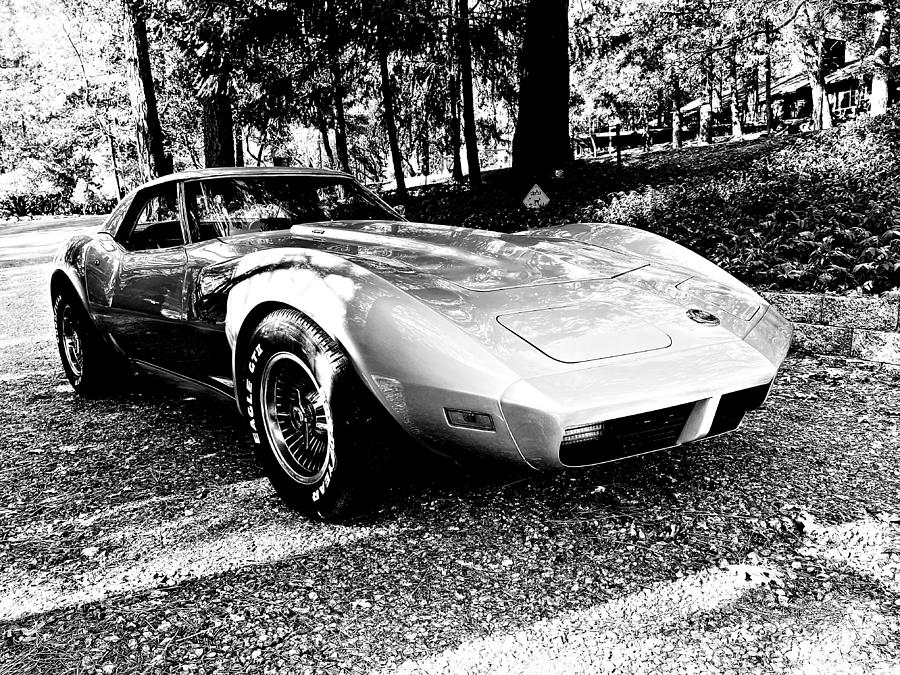 1974 Big Block 454 Corvette  Photograph by Beverly Read