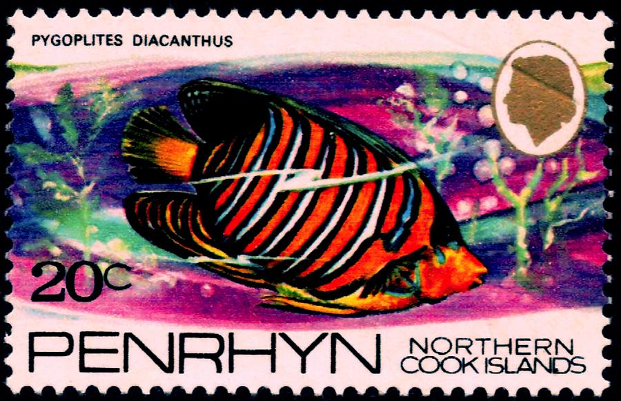 1974 Penrhyn - Northern Cook Islands - No.58 - Stamp Art Digital Art by Fred Larucci