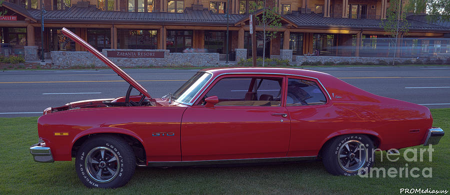 1974 Pontiac G T O Photograph by PROMedias US