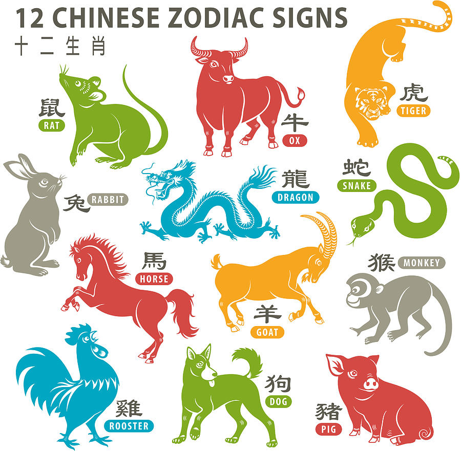 12 Chinese Zodiac Signs #2 Drawing by Exxorian