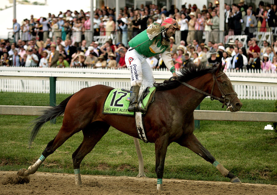 130th Running of the Preakness Stakes #2 Photograph by Doug Pensinger