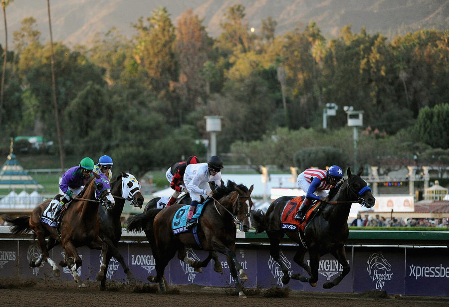 2014 Breeders Cup Classic Photograph by Harry How
