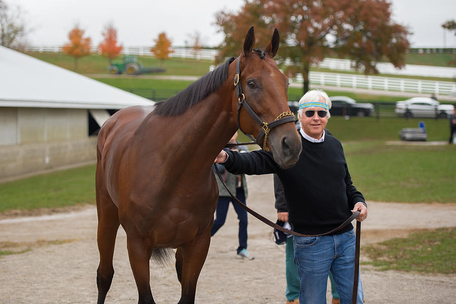 2015 Breeders Cup Photograph by Horsephotos