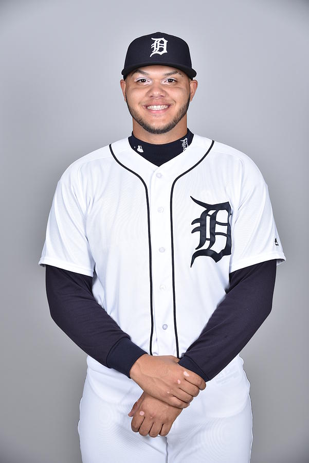 2018 Detroit Tigers Photo Day Photograph by Tony Firriolo