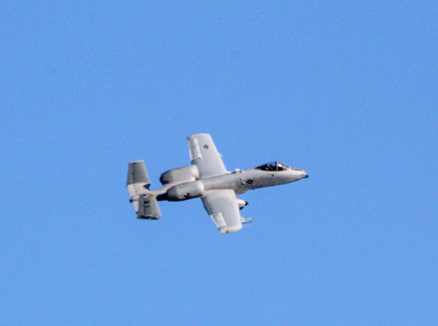A 10 Warthog #2 Photograph by Bill Rogers