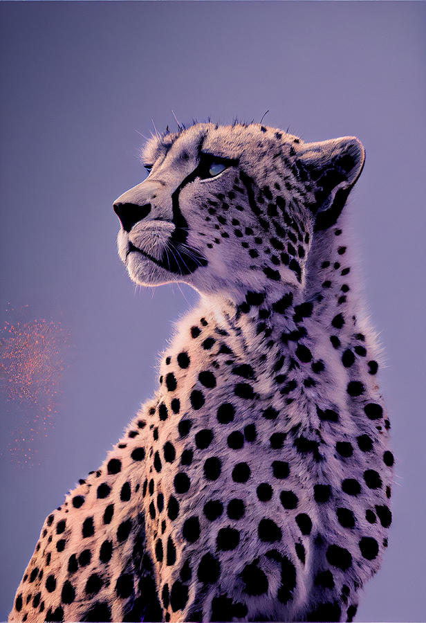a  cheetah  with  clouds  high  resolution  k  Color  by Asar Studios Digital Art