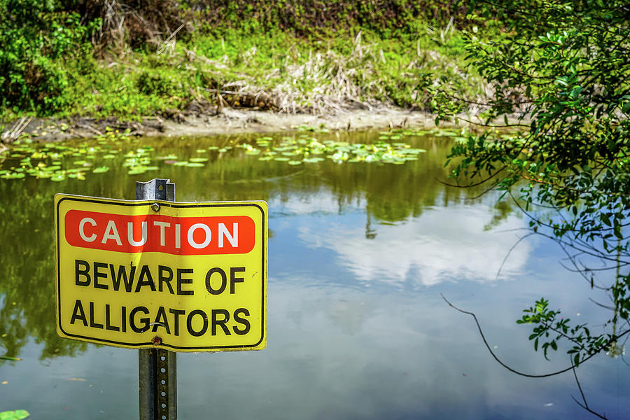 Lake Photograph - A Small Pond by Ric Schafer Lake Photograph - A Small Pond by Ric Schafer