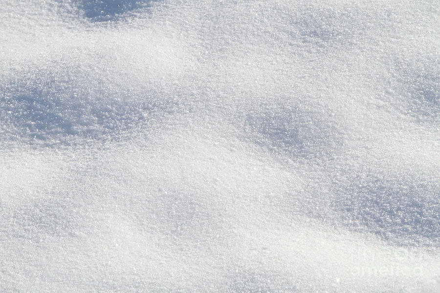 A Snow Background Close Up Photograph