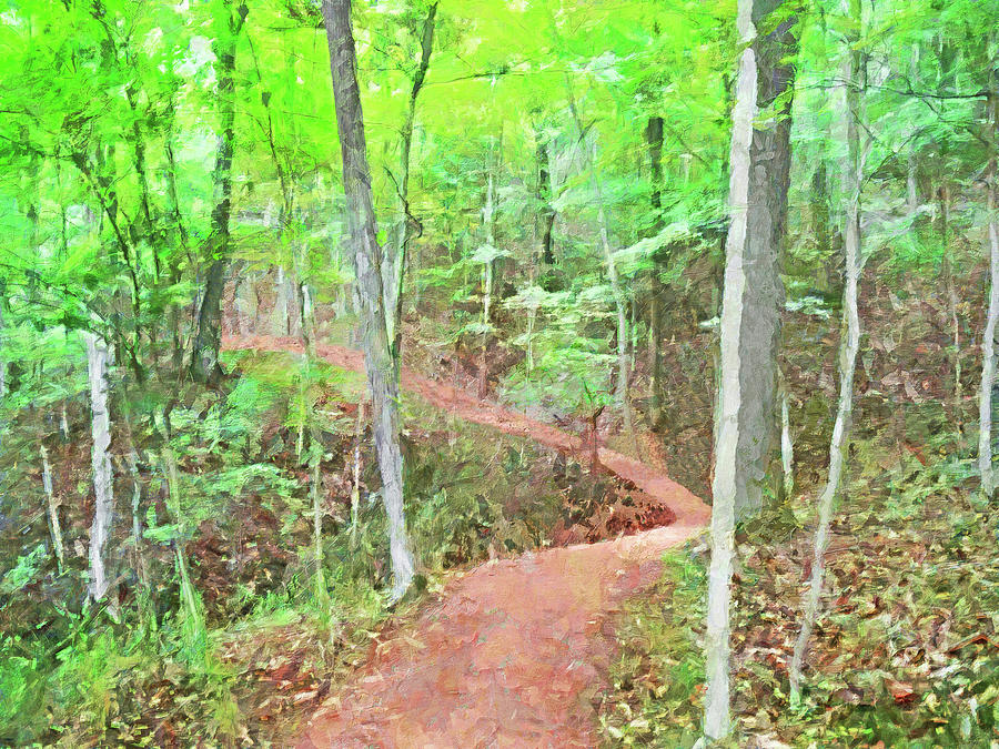 A Trail Through the Woods #2 Digital Art by Digital Photographic Arts