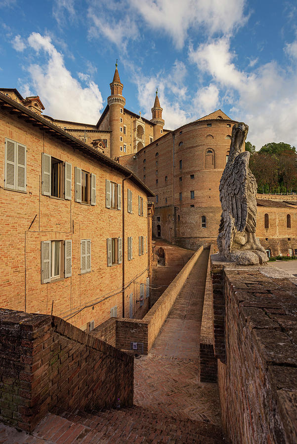 A View Of The Doges Palace In The City Of Urbino Marche Italy Photograph