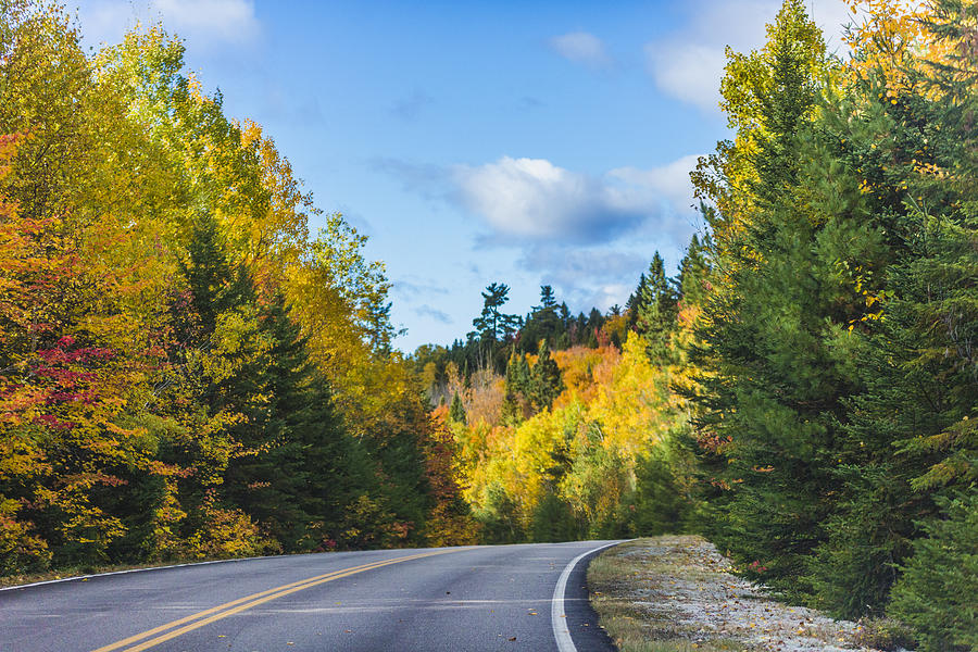 A view of the road in Québec La Mauricie National Park, Canada. #2 Photograph by Instants