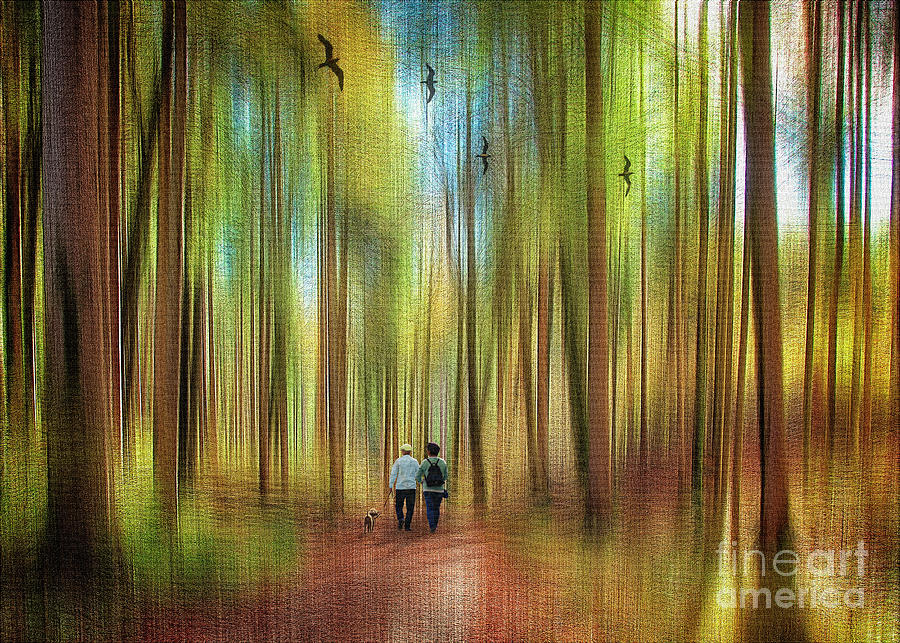 A Walk in the Forest #2 Digital Art by Edmund Nagele FRPS
