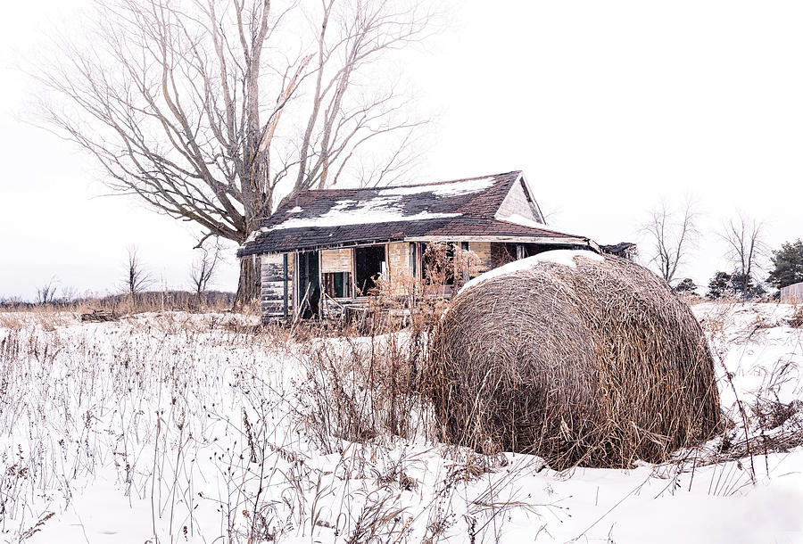 Abandoned Homestead #2 Photograph by Dee Potter