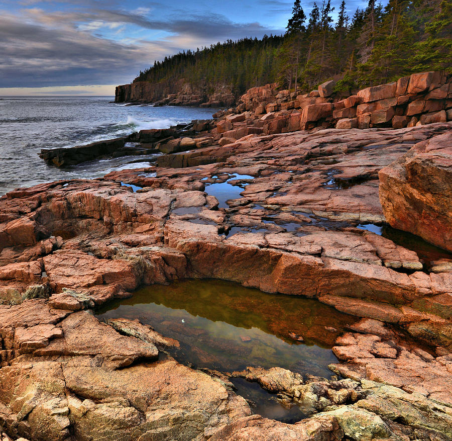 Acadia Coastline Photograph by Stephen Vecchiotti