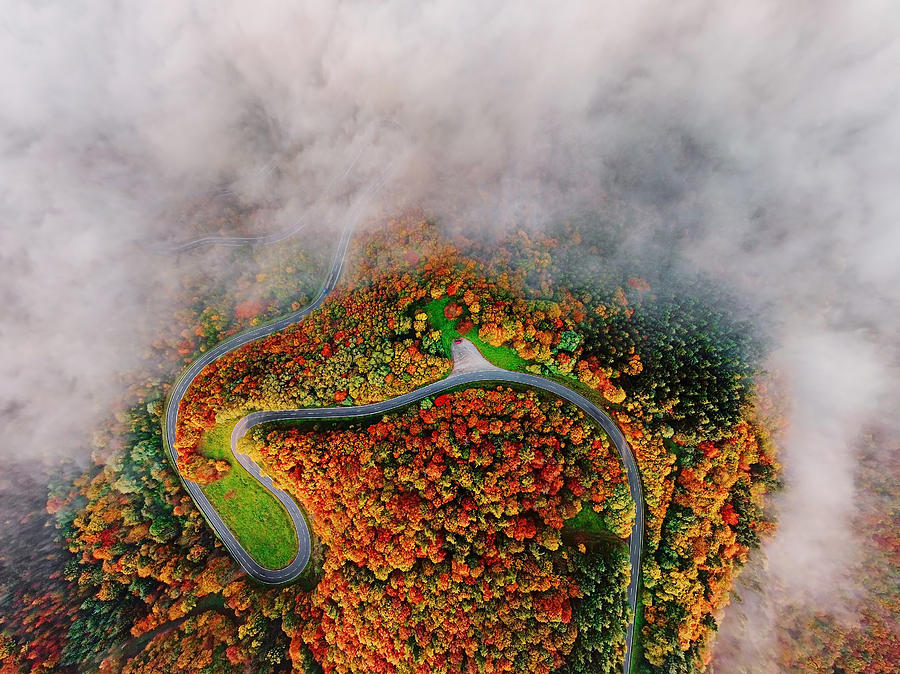 Aerial view of autumn forest road in morning fog. Mosele Valley, Germany. #2 Photograph by Rusm