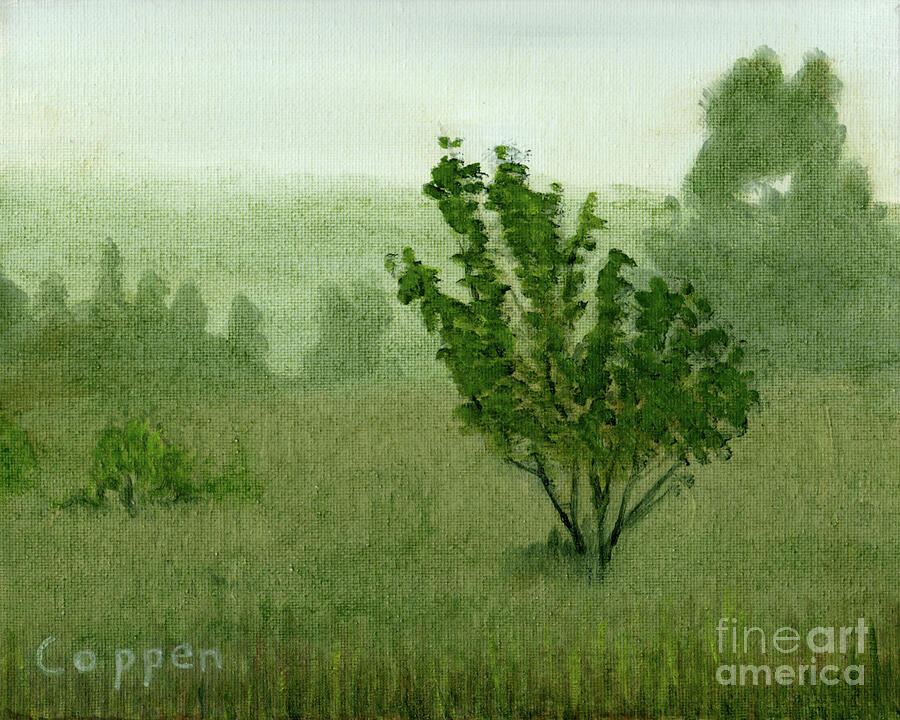 Landscape after a Rain Painting by Robert Coppen