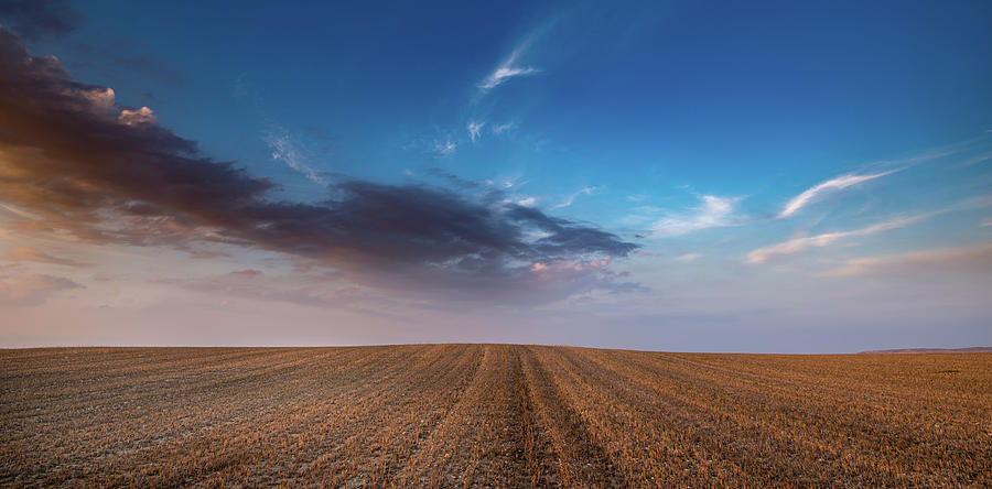 Agricultural meadow field and cloudy sky during sunset.  Photograph by Michalakis Ppalis
