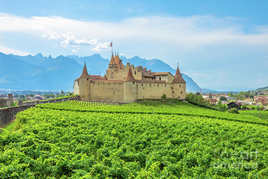 Aigle Castle and Terraced vineyards #2 Photograph by Benny Marty