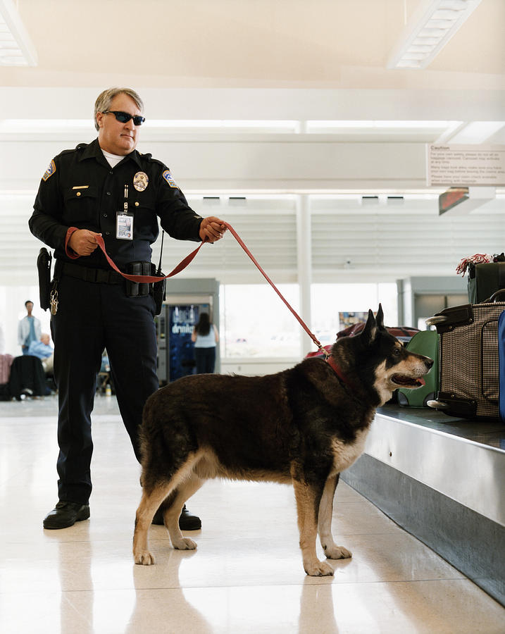 Airport Security Guard With a Sniffer Dog #2 Photograph by Digital Vision.