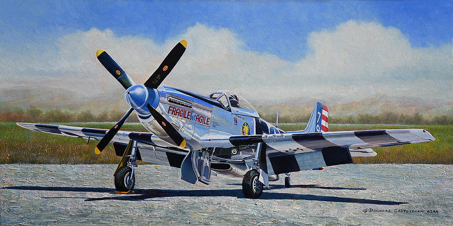 Airshow Mustang #2 Painting by Douglas Castleman