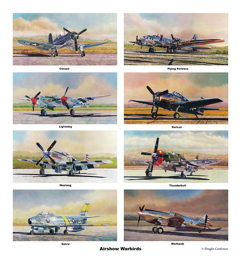 Airshow Warbirds  #2 Painting by Douglas Castleman