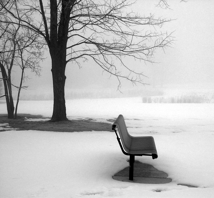 Alone #2 Photograph by Rein Nomm