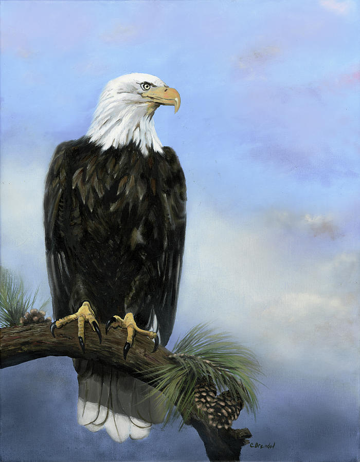 American Bald Eagle  #2 Painting by Cecilia Brendel