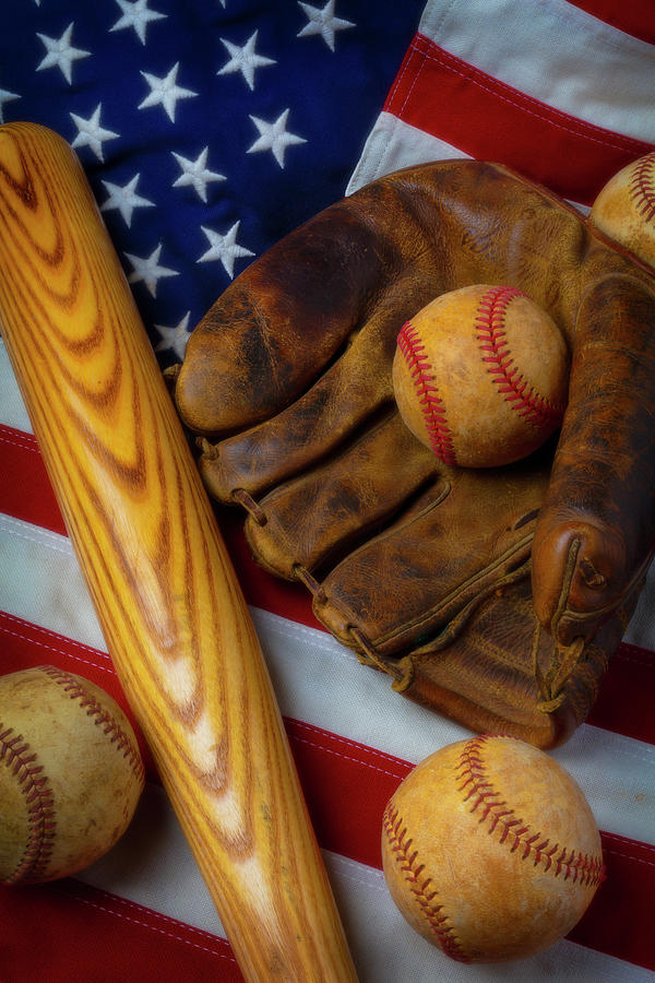 American Baseball #2 Photograph by Garry Gay