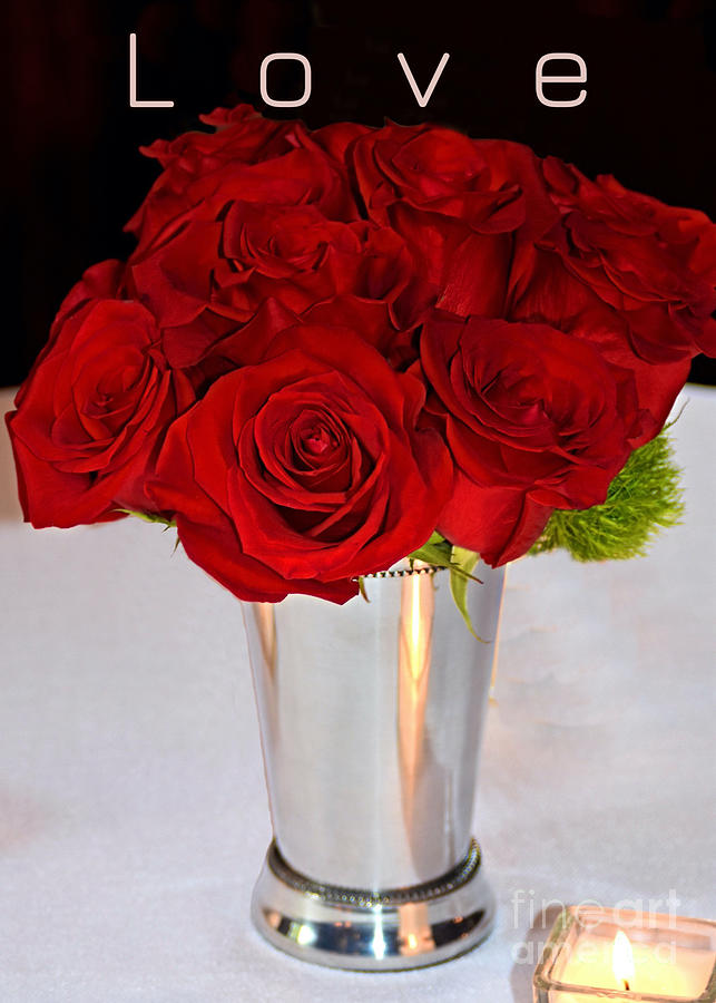American Beauty Love Red Roses Photograph