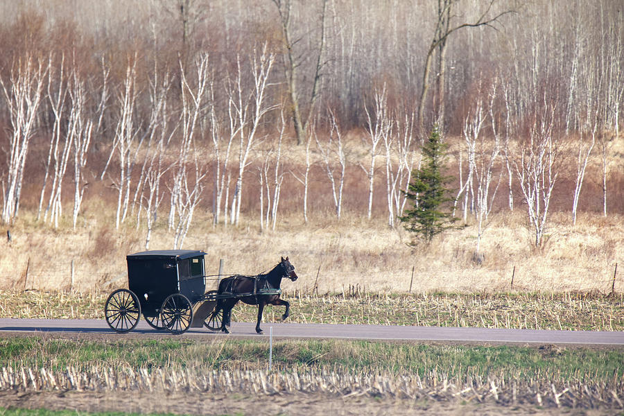 Amish Buggy #2 Photograph by Brook Burling