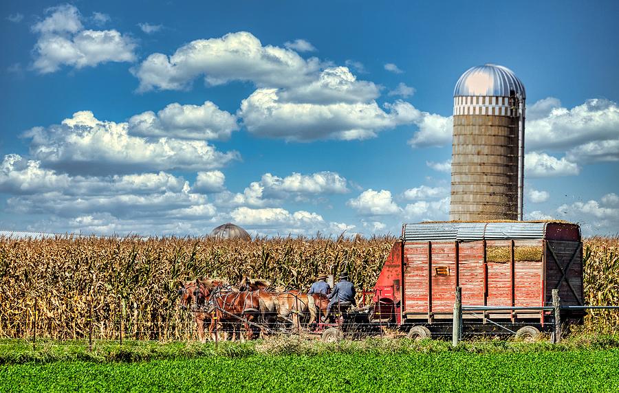 An Amish Harvest Photograph by Mountain Dreams - Fine Art America