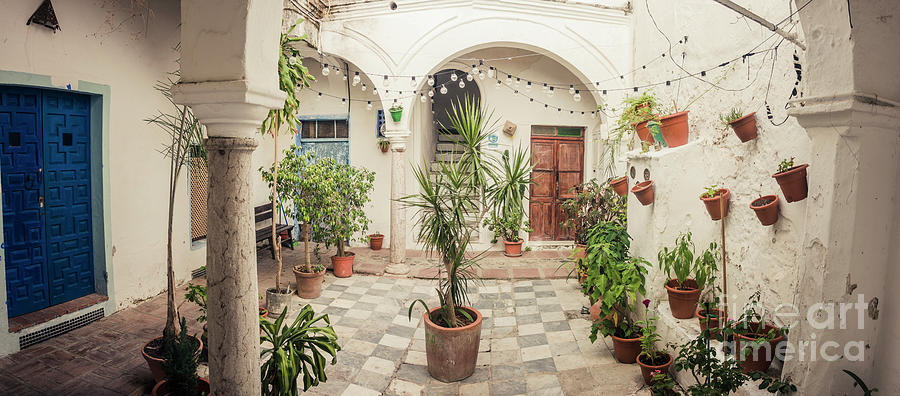 Andalusian courtyard patio #2 Photograph by Perry Van Munster