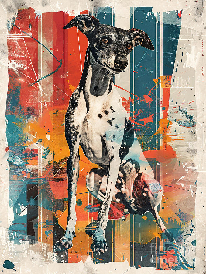 Abstract Drawing - Animal image of Italian Greyhound Dog #2 by Clint McLaughlin